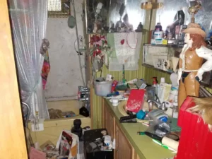 From mold remediation and water damage restoration to biohazard cleanup